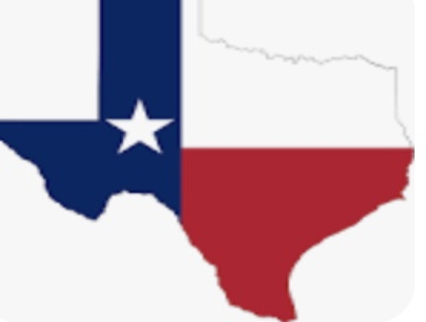 TEXAS TAX DEED INVESTING>
                     </div>
                     <div class=