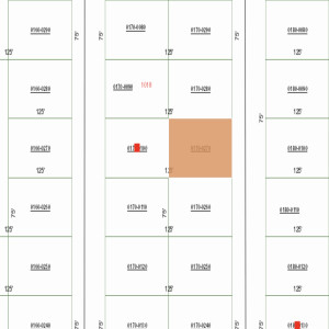 Putnam County Florida $750 Down $350 per month Buildable Vacant Lot