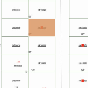 .20 Acre lot in Putnam county, FL
